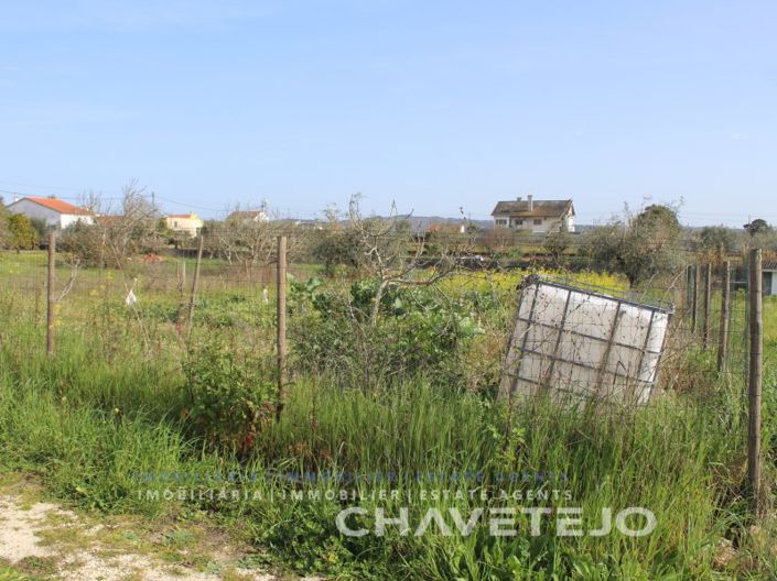 Image No.12-Terrain à vendre à Tomar