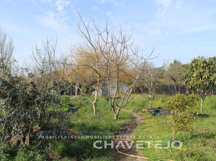 Image No.3-Terrain à vendre à Tomar