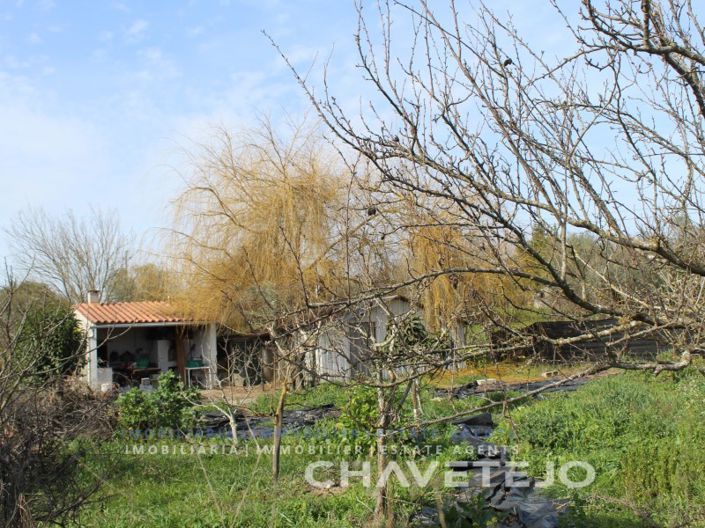 Image No.4-Terrain à vendre à Tomar