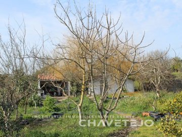 id5d635501-0000-0500-0000-00000f70eb1c