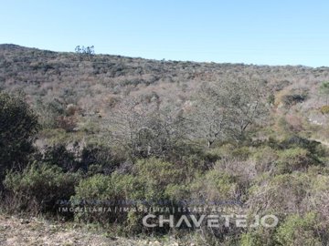 id705c5501-0000-0500-0000-00000f6d3be1