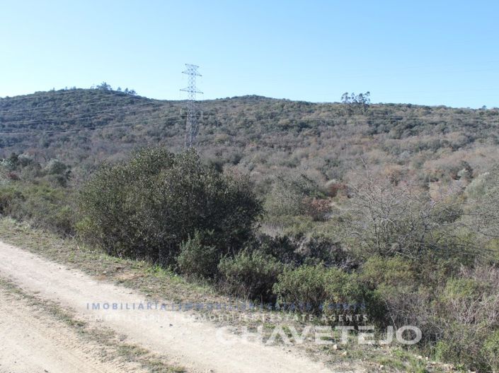 Image No.2-Terrain à vendre à Ferreira do Zêzere