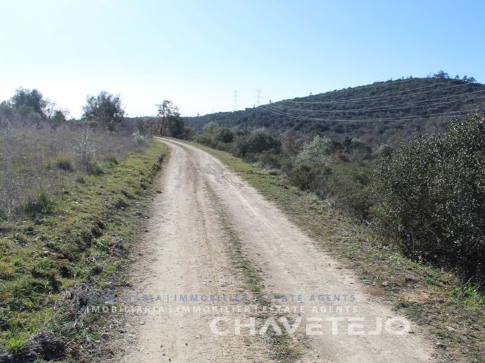 Image No.3-Terrain à vendre à Ferreira do Zêzere