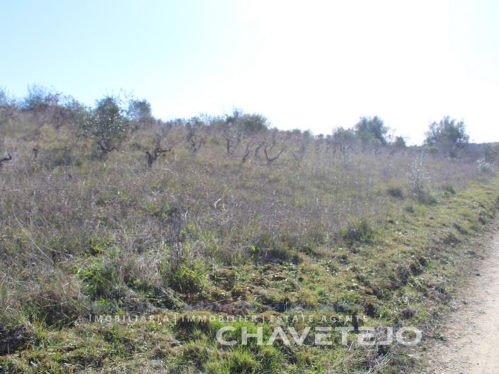 Image No.4-Terrain à vendre à Ferreira do Zêzere