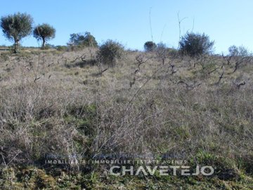 id705c5501-0000-0500-0000-00000f6d3be5