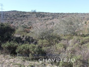 id705c5501-0000-0500-0000-00000f6d3be6