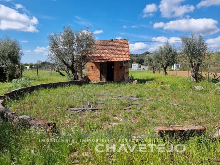 Image No.15-Maison de 1 chambre à vendre à Ferreira do Zêzere