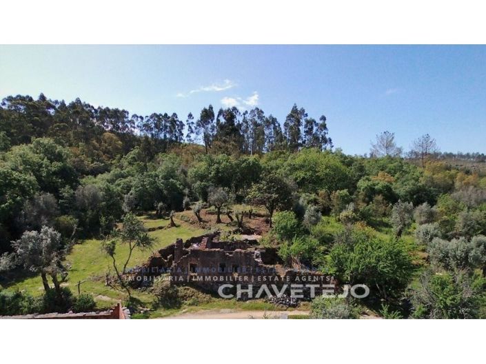 Image No.3-Ferme à vendre à Alvaiázere