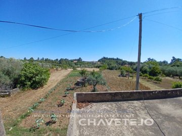 id11d53901-0000-0500-0000-00000ffb9ee0