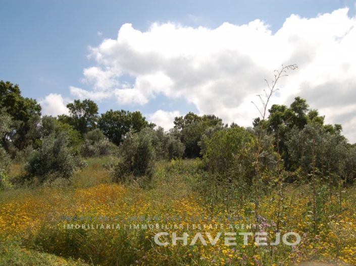 Image No.2-Plot for sale