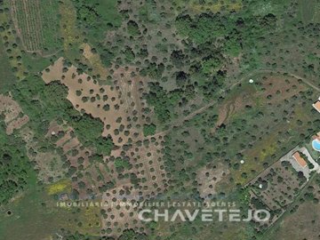 id7d055c01-0000-0500-0000-00000ffe639a