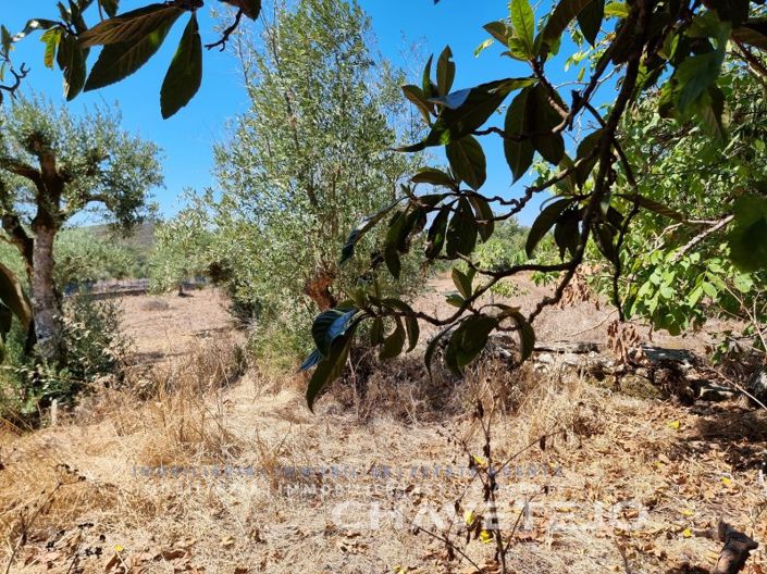 Image No.11-4 Bed House for sale