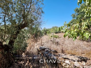 idaf445e01-0000-0500-0000-0000102ec19b