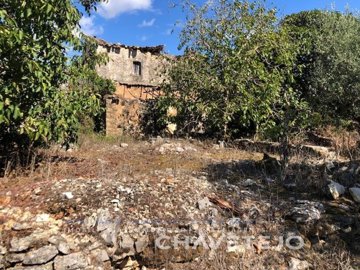 idaf445e01-0000-0500-0000-0000102eb1ad