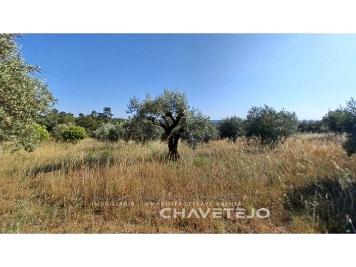 Image No.10-Plot for sale