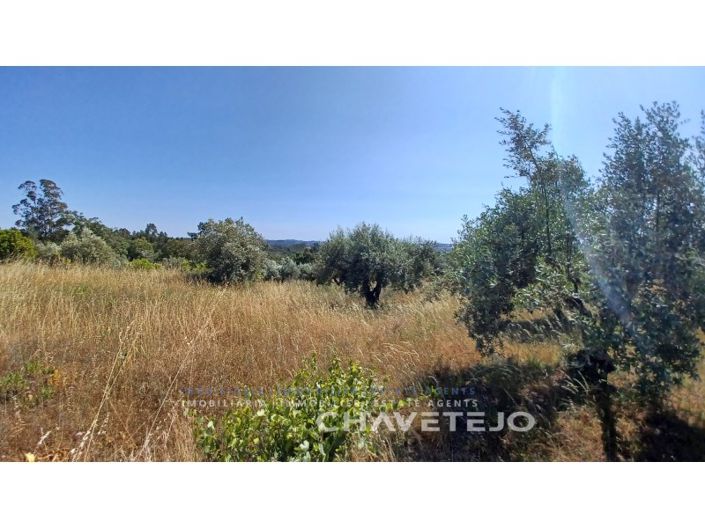 Image No.5-Plot for sale