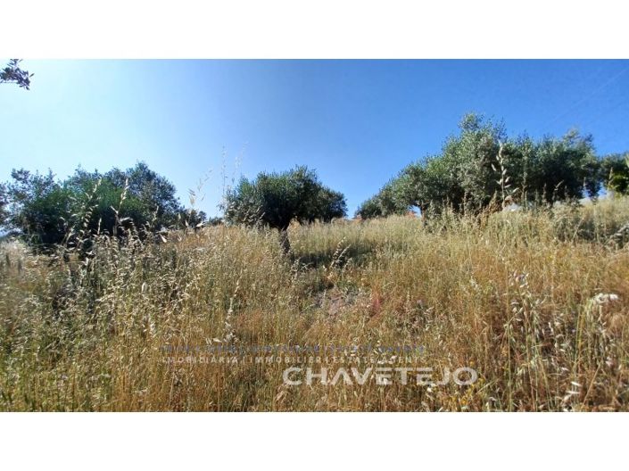 Image No.8-Plot for sale