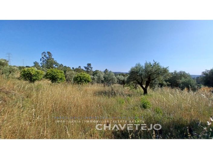 Image No.9-Plot for sale