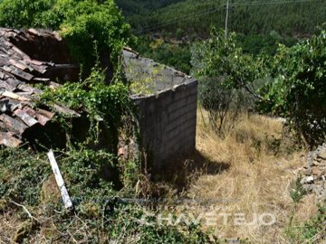 1 - Figueiró dos Vinhos, Plot