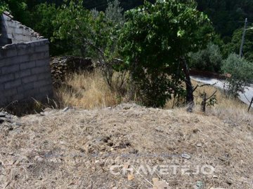 id20b37001-0000-0500-0000-000011d94686