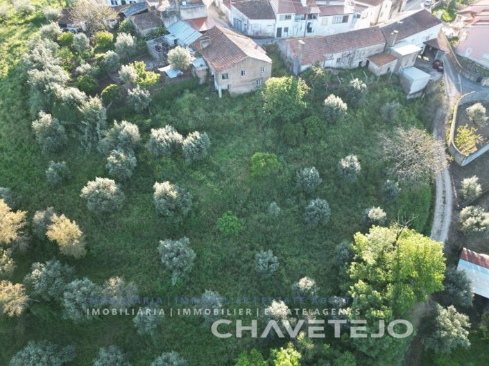 Image No.36-Maison de 3 chambres à vendre à Tomar