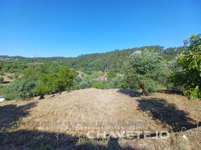 Image No.48-Maison de 3 chambres à vendre à Tomar