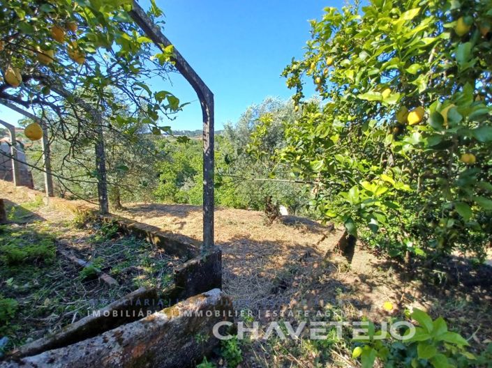 Image No.50-Maison de 3 chambres à vendre à Tomar