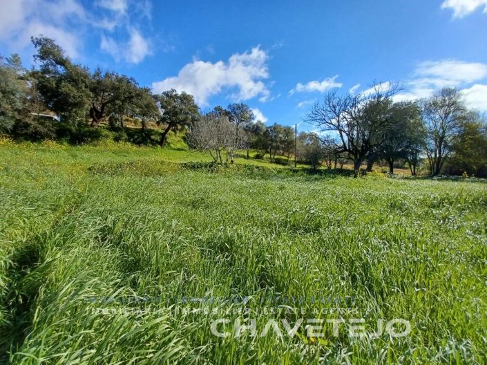 Image No.2-Terrain à vendre à Tomar