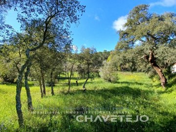 id30c17901-0000-0500-0000-000012c51532