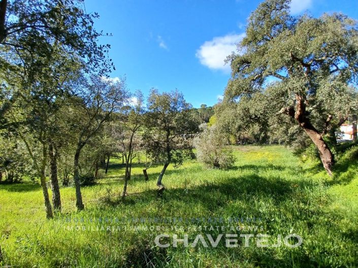 Image No.4-Terrain à vendre à Tomar