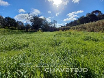 id30c17901-0000-0500-0000-000012c51535