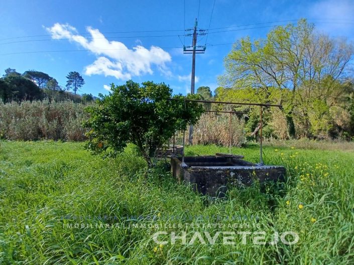 Image No.6-Terrain à vendre à Tomar