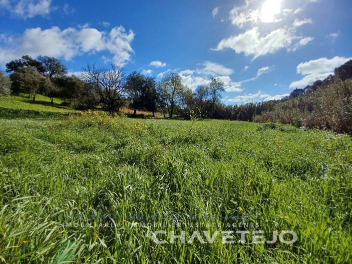 Image No.7-Terrain à vendre à Tomar
