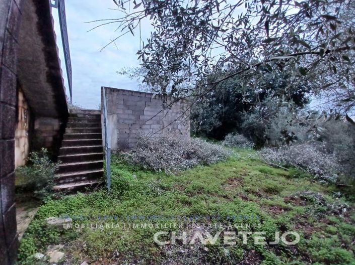 Image No.50-Maison de 3 chambres à vendre à Tomar