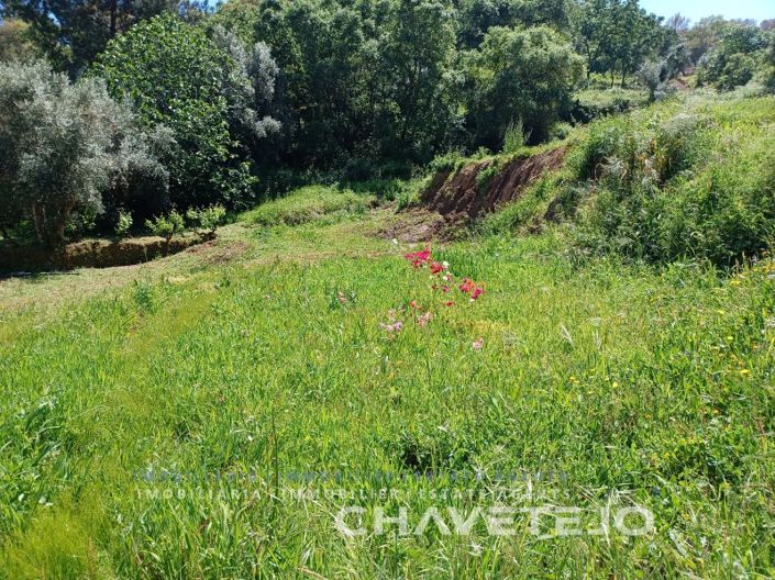 Image No.2-Plot for sale