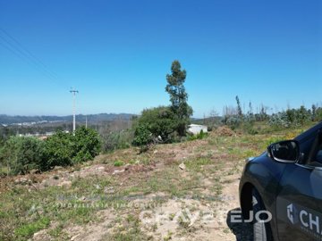 idbbde7d01-0000-0500-0000-0000133a755d