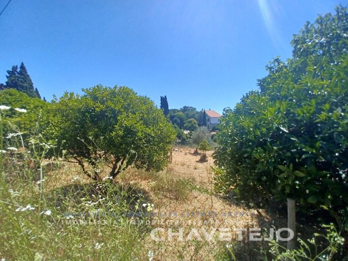 Image No.2-Plot for sale