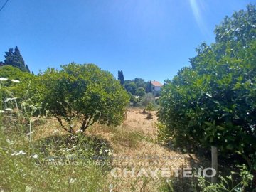 id52017f01-0000-0500-0000-0000135b6e2d