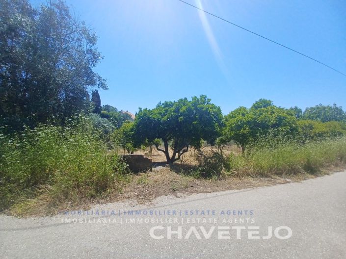 Image No.3-Plot for sale