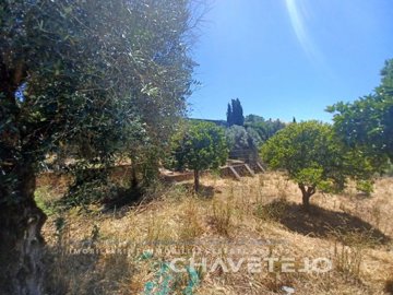 id52017f01-0000-0500-0000-0000135b6e27