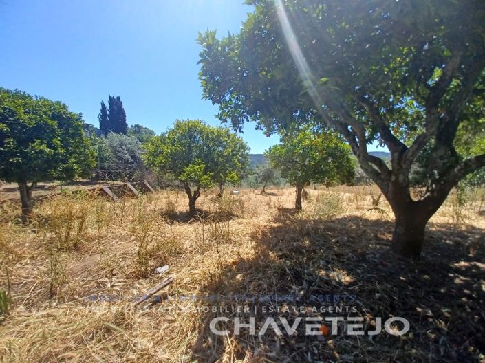 Image No.5-Plot for sale