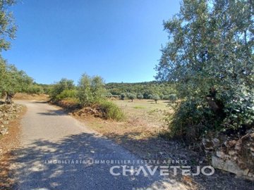 id79e17f01-0000-0500-0000-0000137c1050