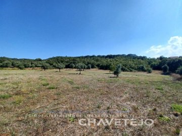 id79e17f01-0000-0500-0000-0000137c1056