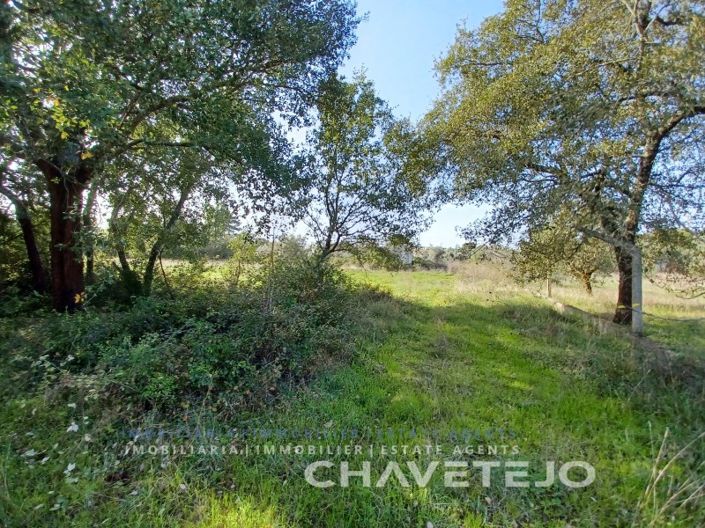 Image No.10-Terrain à vendre à Tomar