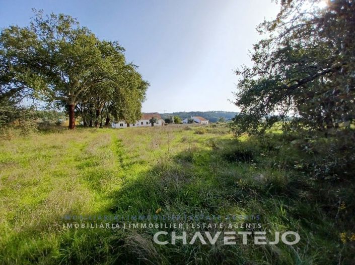 Image No.13-Terrain à vendre à Tomar