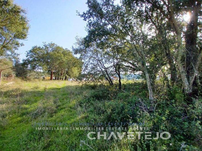 Image No.14-Terrain à vendre à Tomar