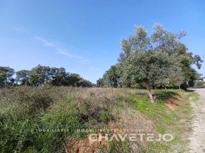 Image No.4-Terrain à vendre à Tomar