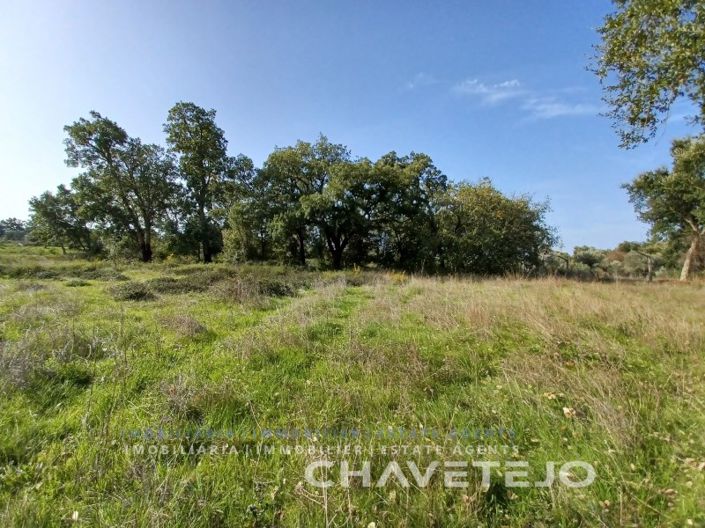 Image No.5-Terrain à vendre à Tomar