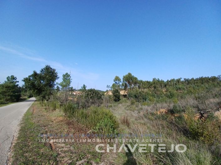 Image No.4-Plot for sale