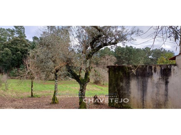 Image No.24-Maison de 4 chambres à vendre à Sertã